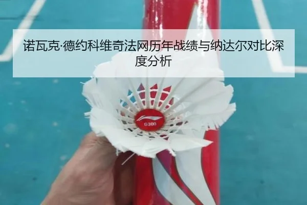 诺瓦克·德约科维奇法网历年战绩与纳达尔对比深度分析